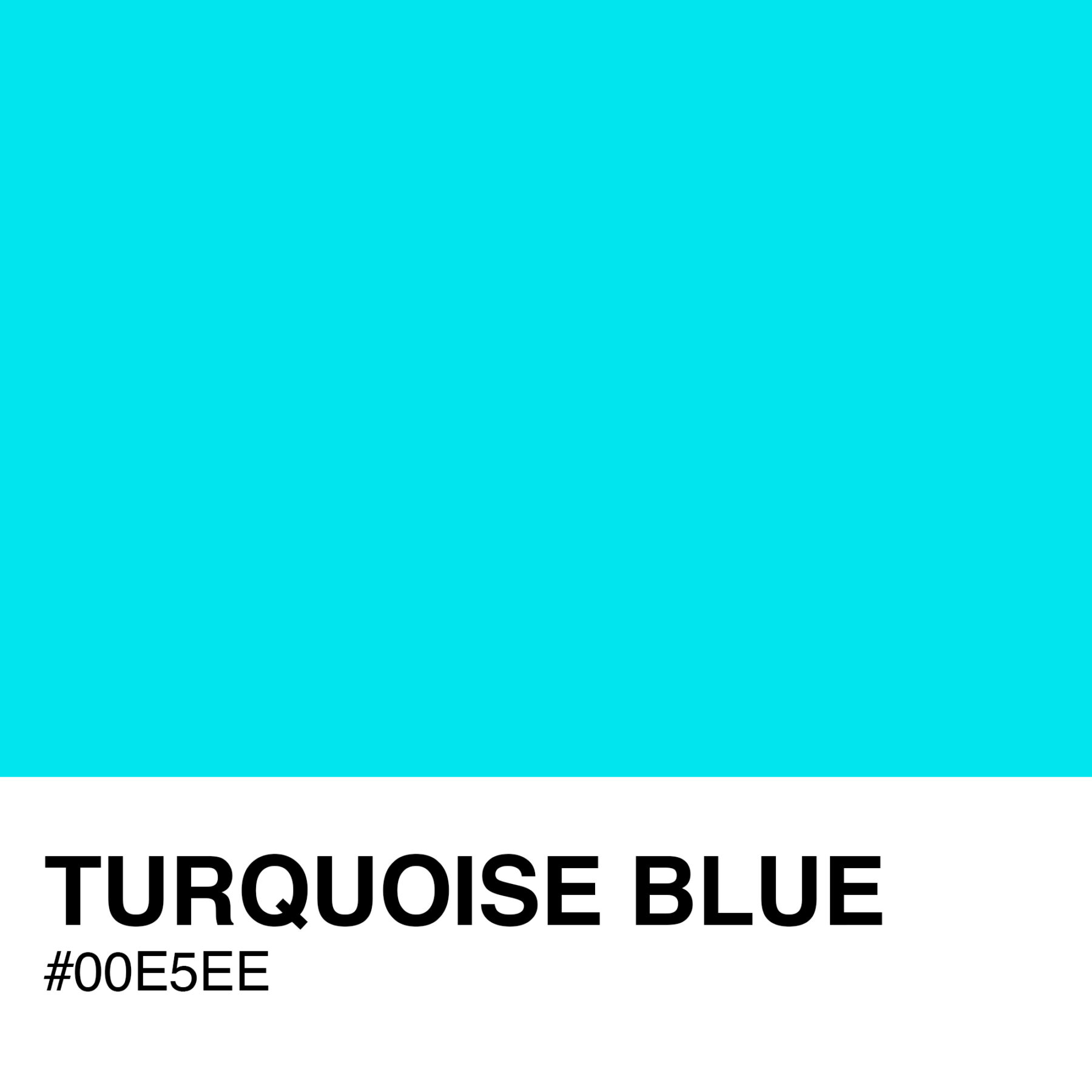 00E5EE-TURQUOISE-BLUE