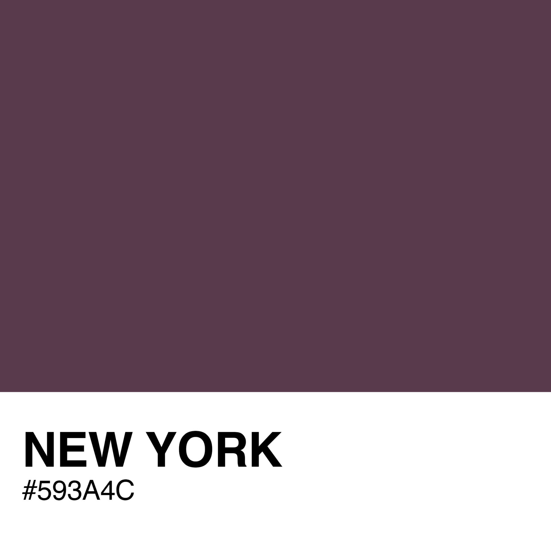 593A4C-NEW-YORK