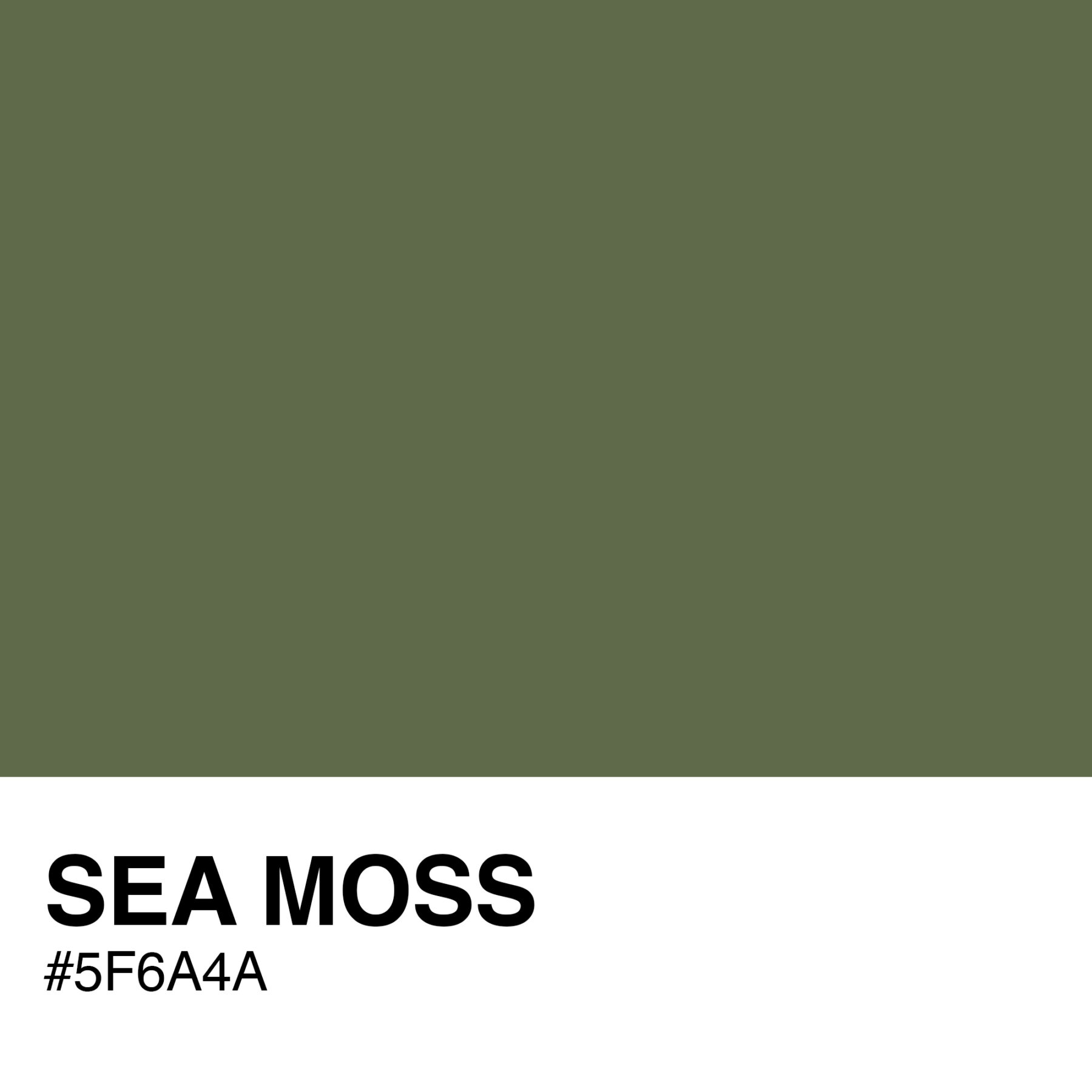 5F6A4A-SEA-MOSS