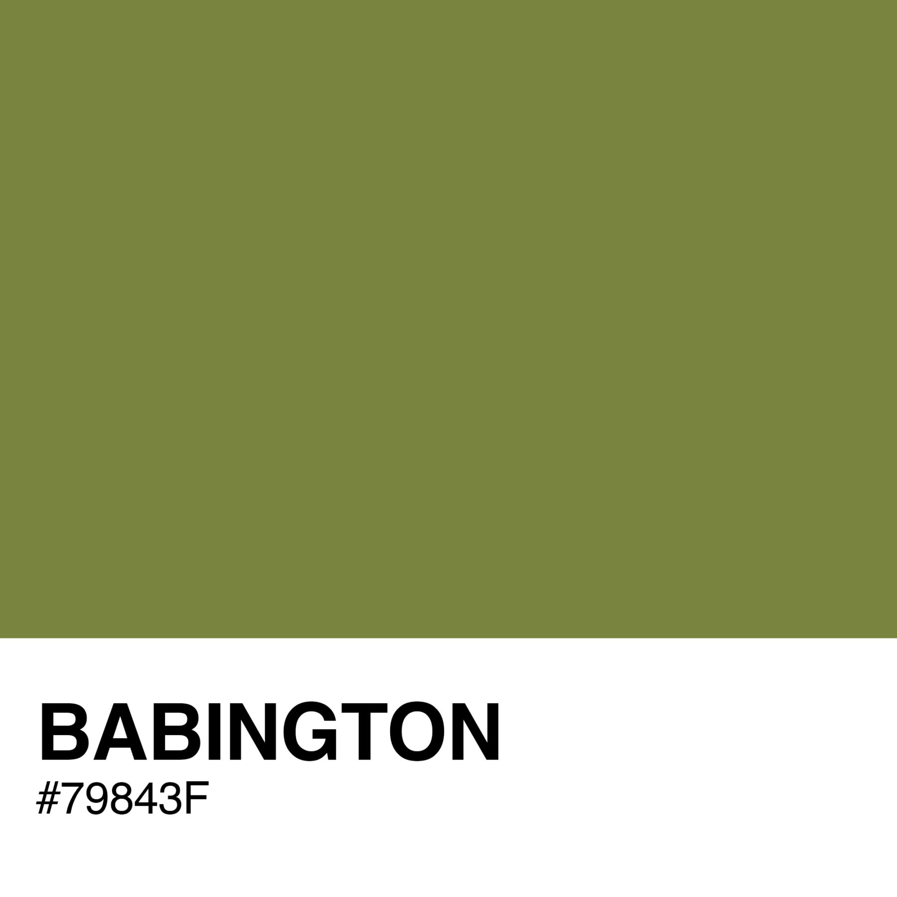 79843F-BABINGTON