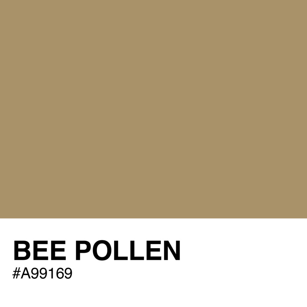 A99169-BEE-POLLEN