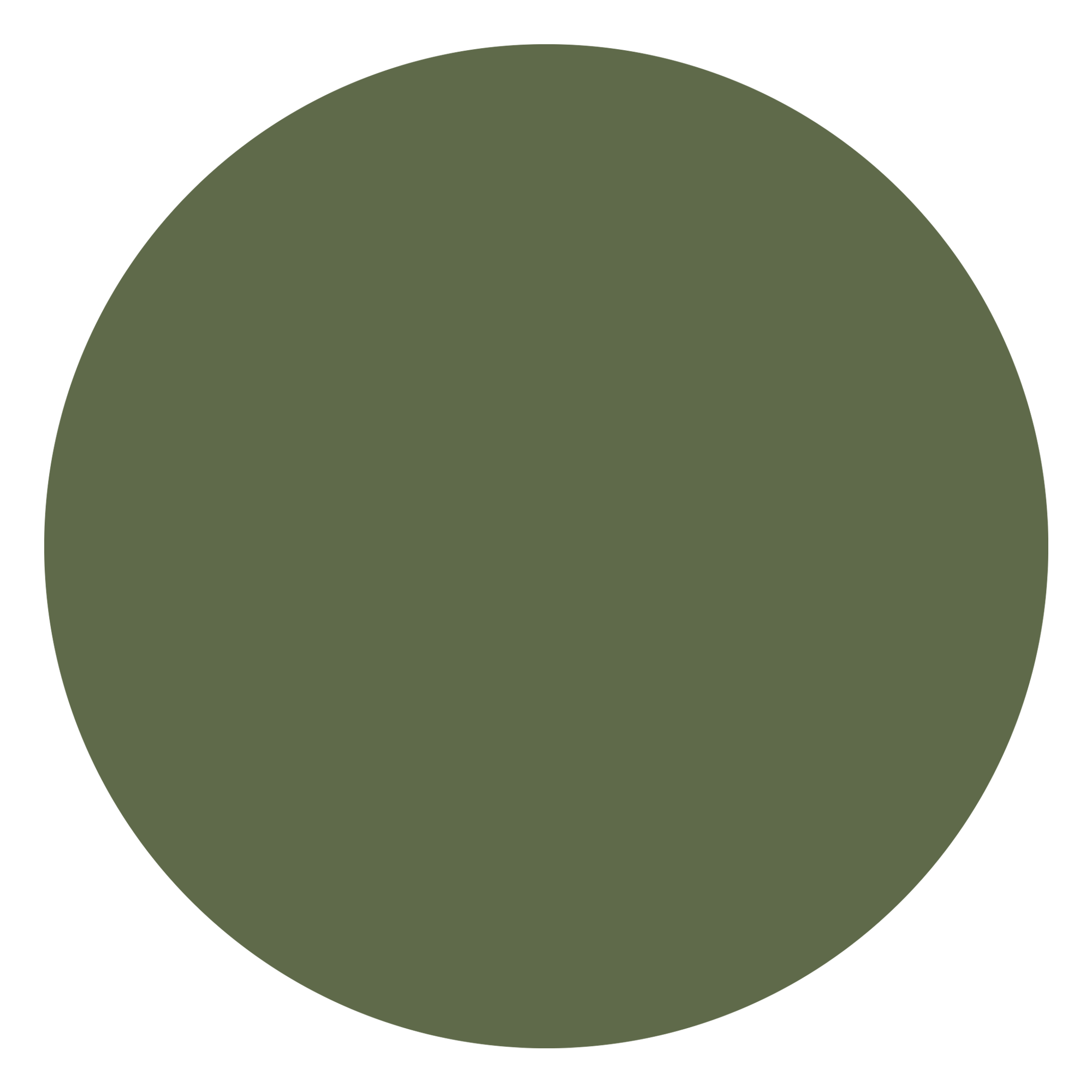 attribute-color-5F6A4A-sea-moss