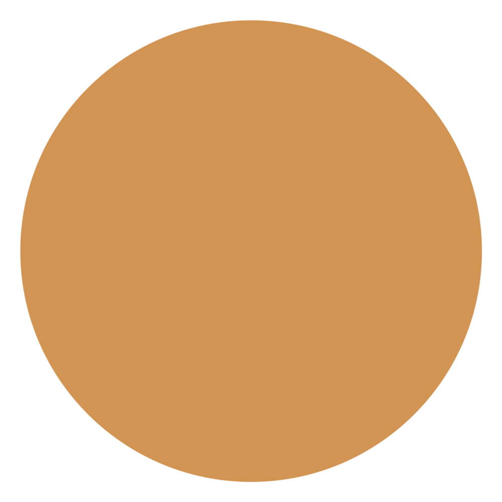 attribute-color-D29452-orange-cinnamon