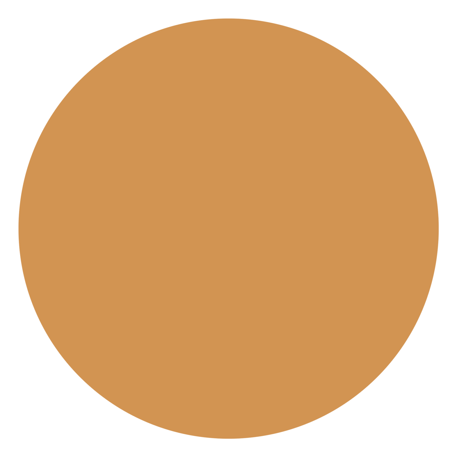 attribute-color-D29452-orange-cinnamon