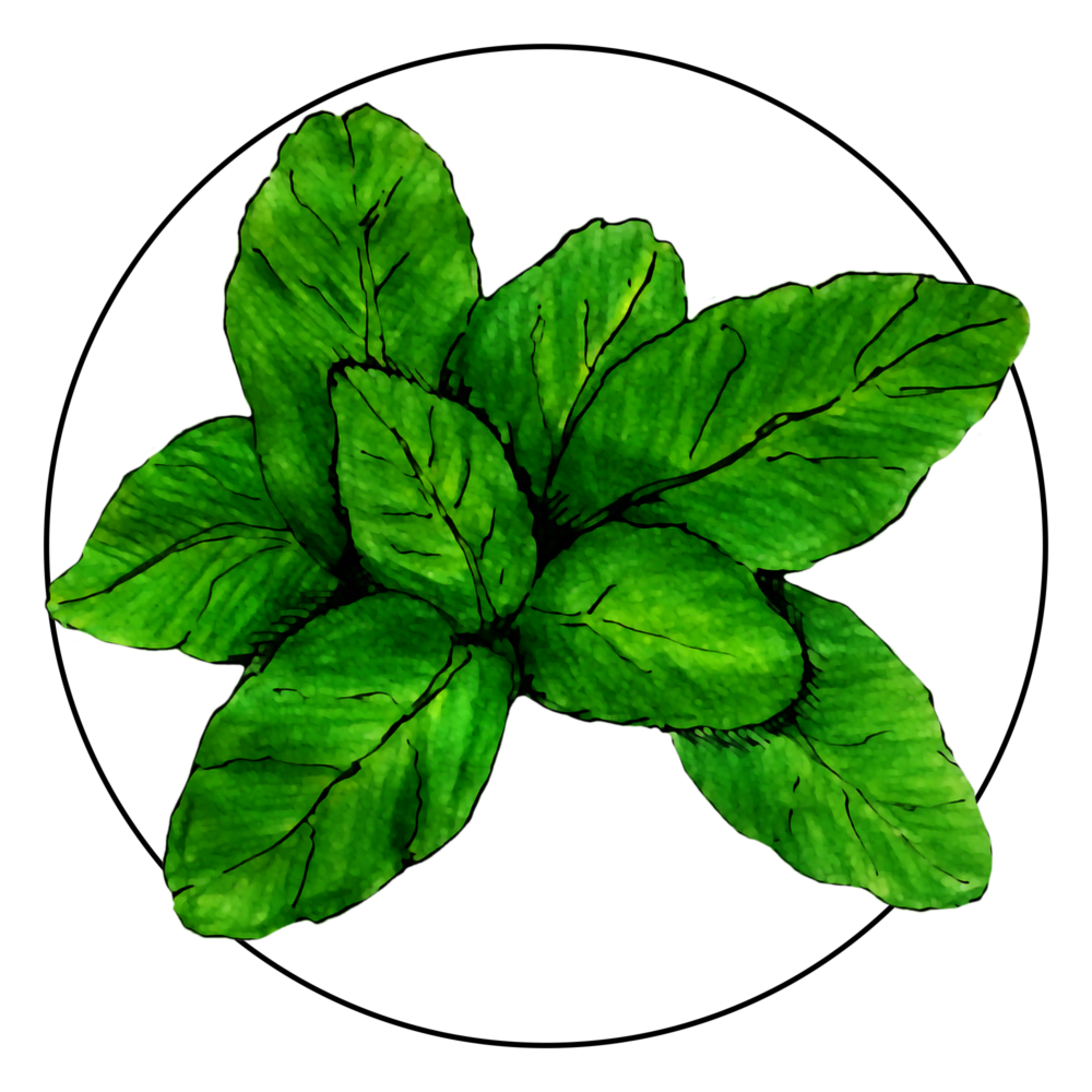 attribute-motif-basil