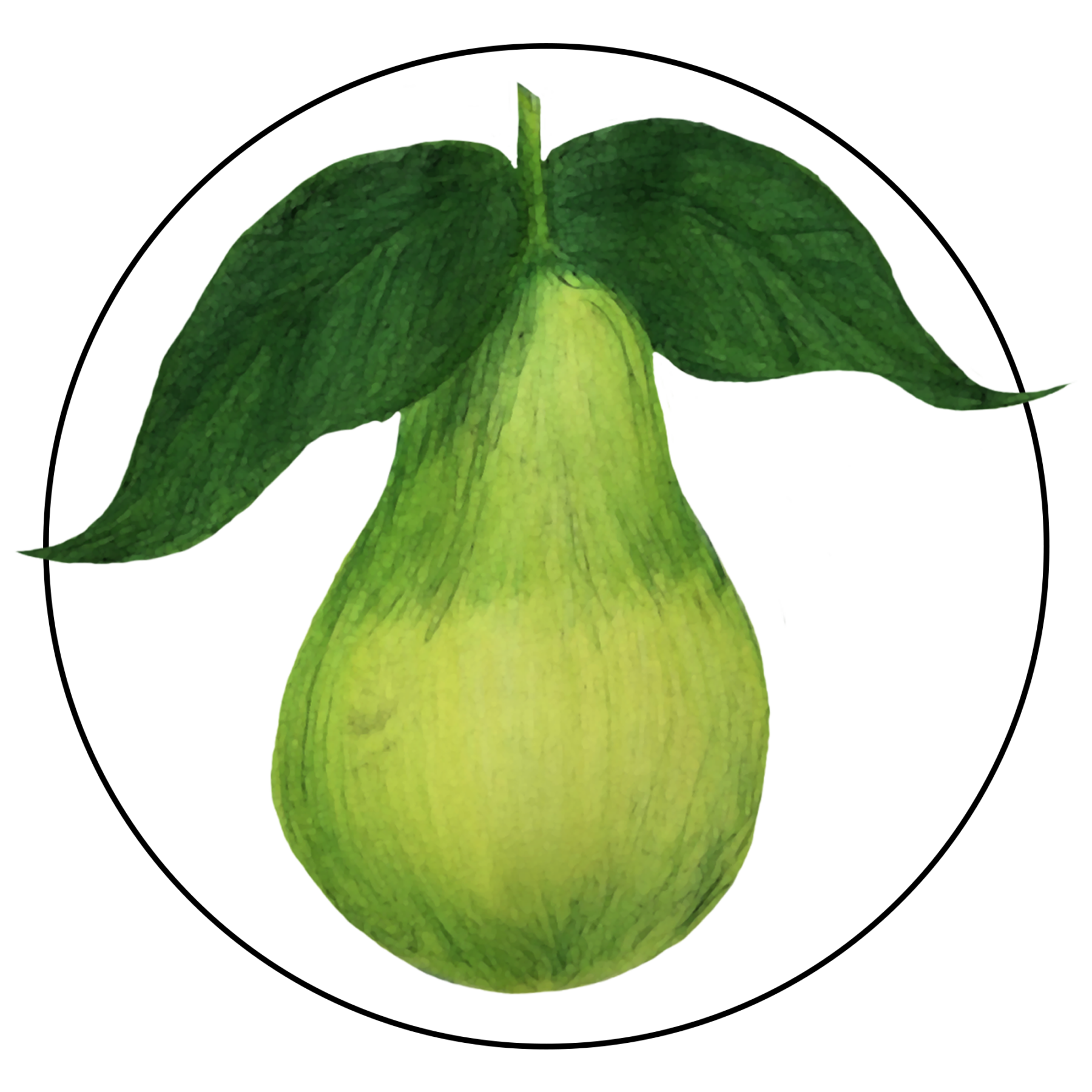 attribute-motif-pear