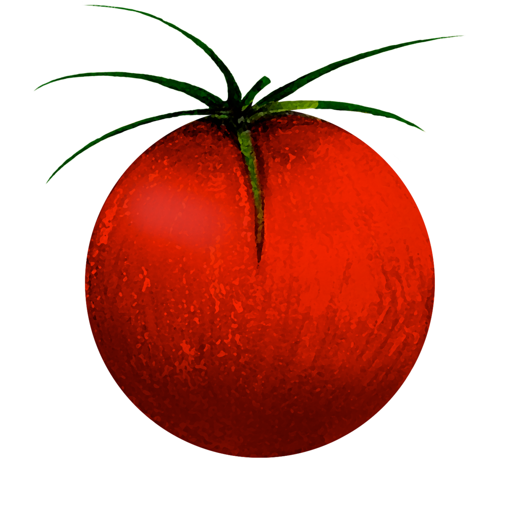 attribute-motif-tomato-white