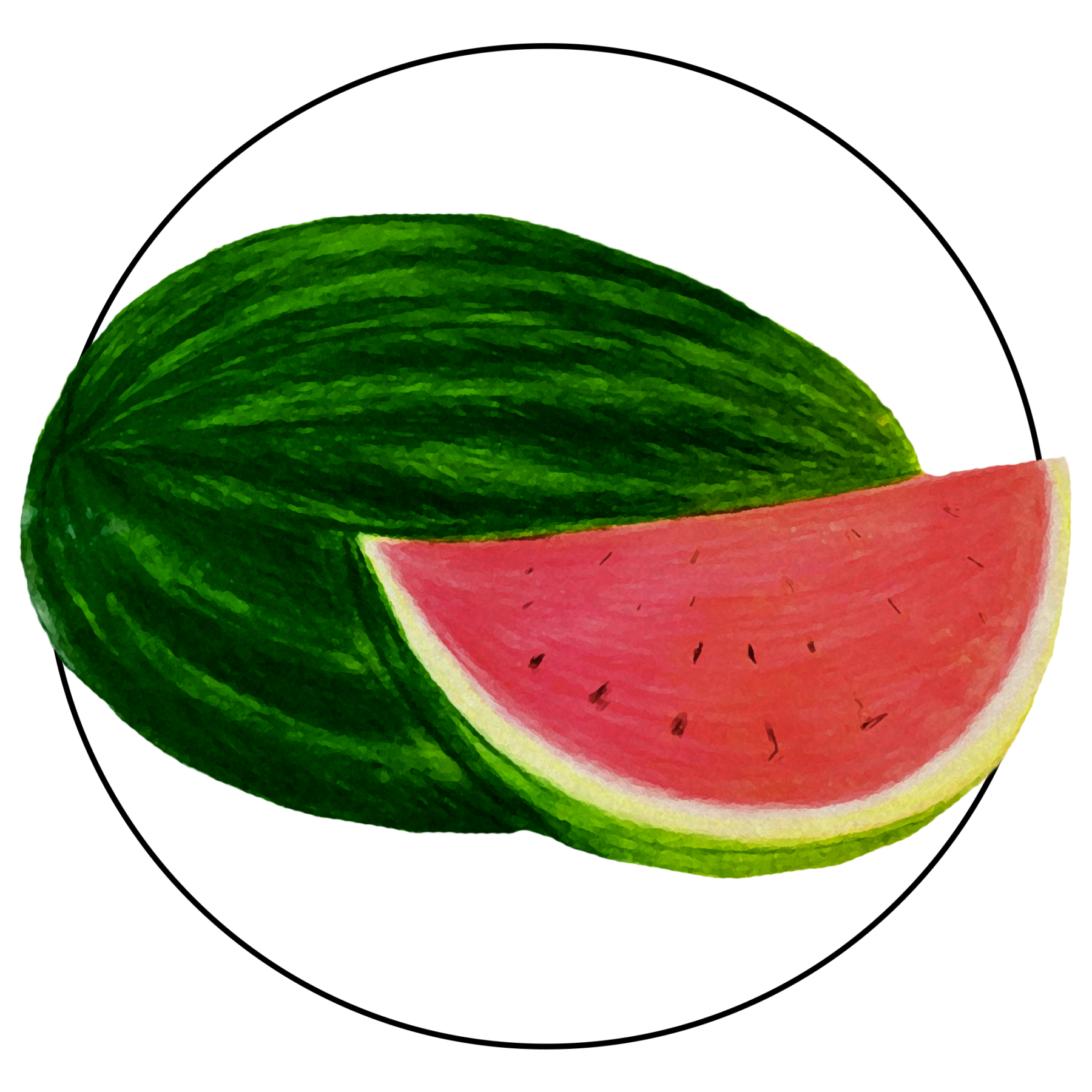 attribute-motif-watermelon