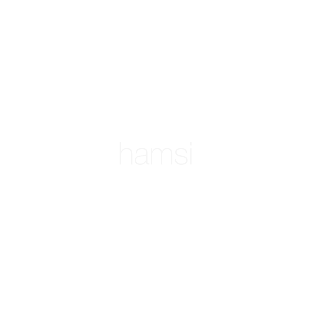 attribute-turkish-cuisine-hamsi