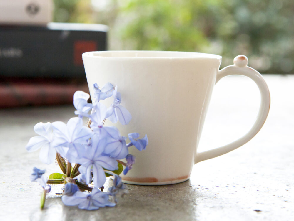 2088-ceyda-bozkurt-ceramics