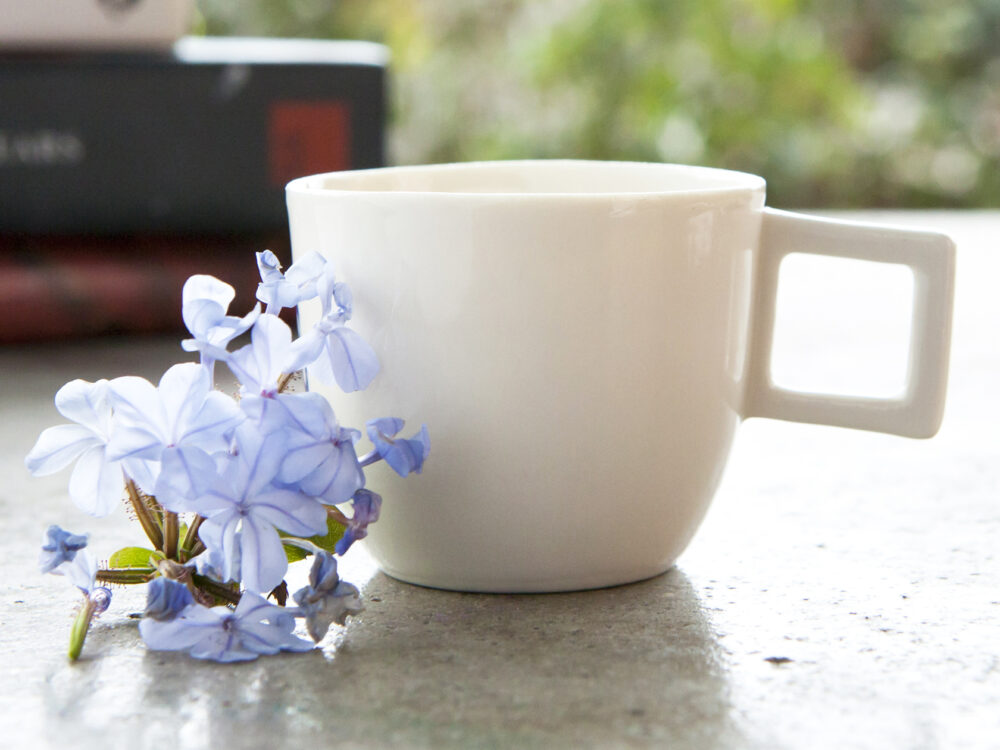 2092-ceyda-bozkurt-ceramics