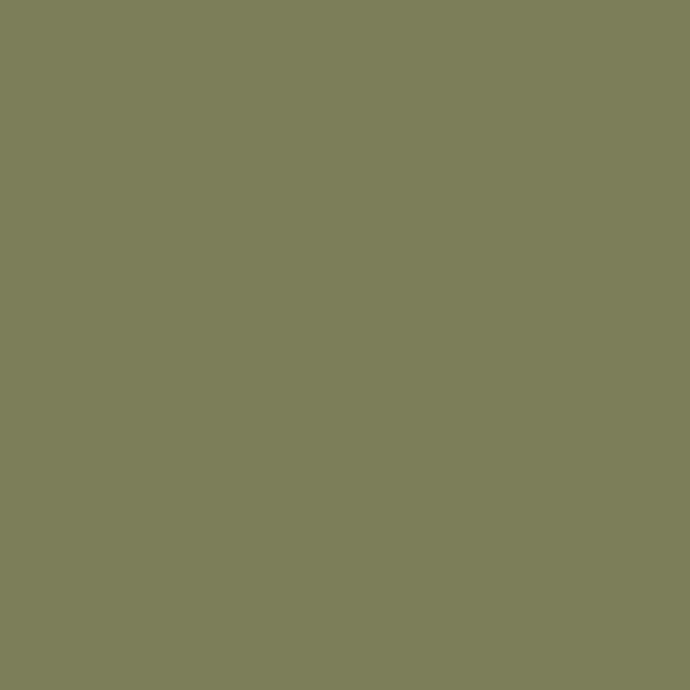 avatar-palette-jason-b-graham-calliste-green