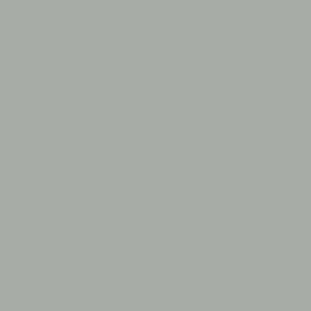 avatar-palette-jason-b-graham-silver
