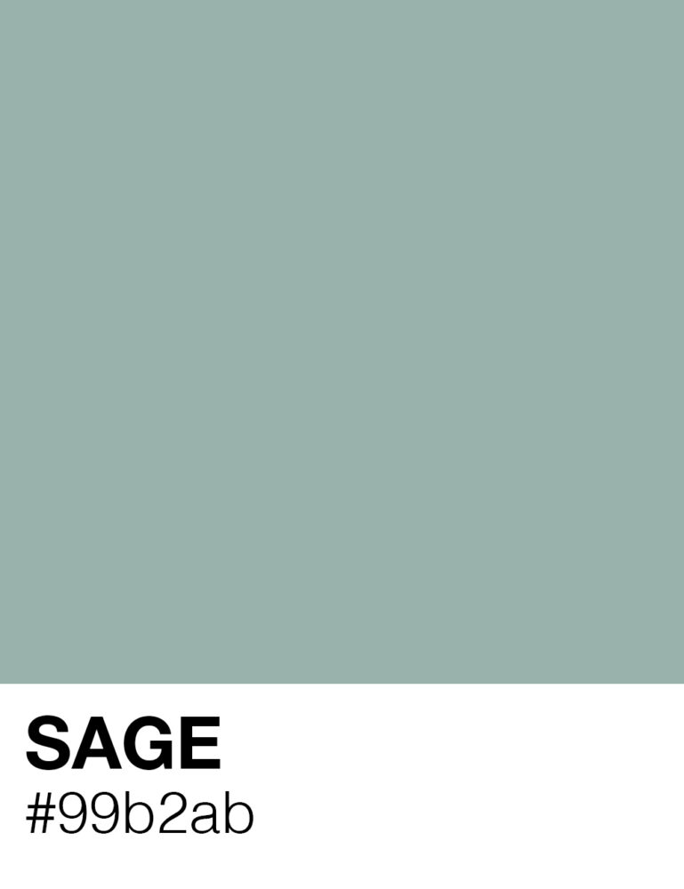 aya-kapadokya-color-palette-sage-99b2ab