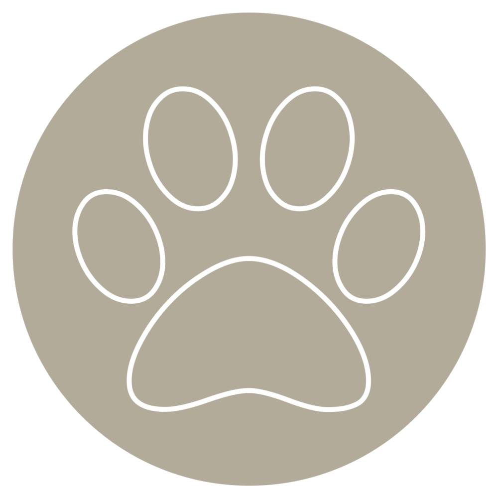 aya-kapadokya-room-features-amenities-icon-pet-friendly