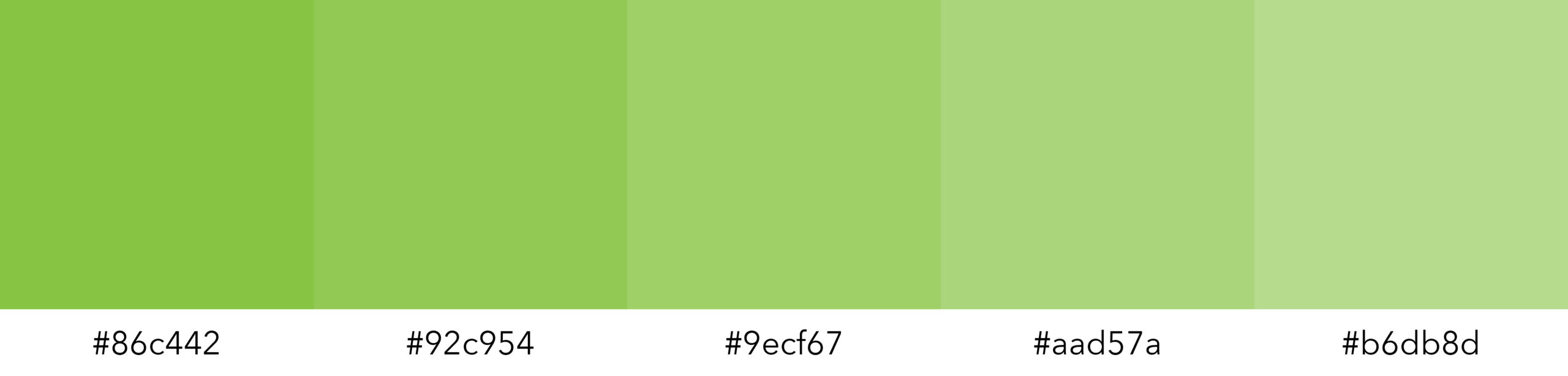 kleentech-color-palette-green