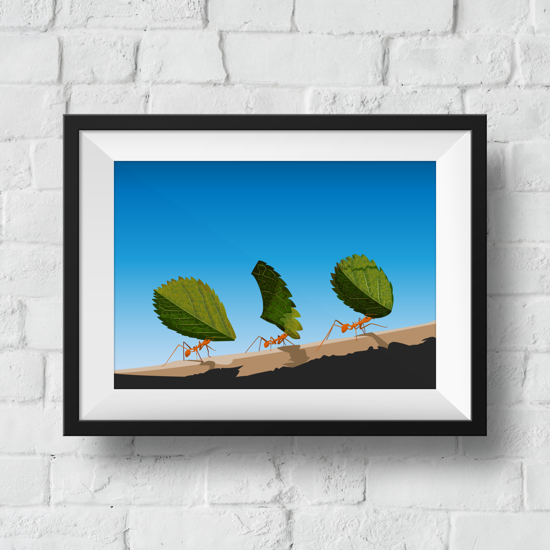 ants-framed