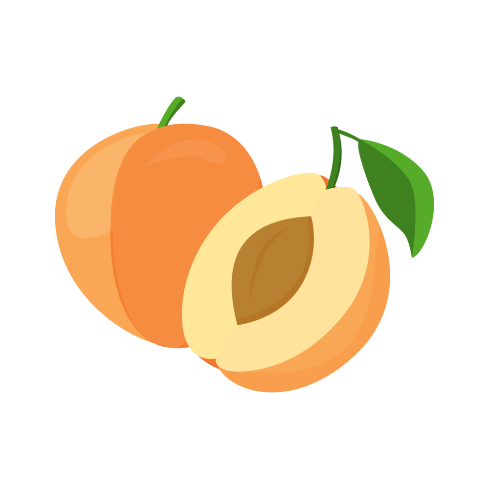 apricot-icon