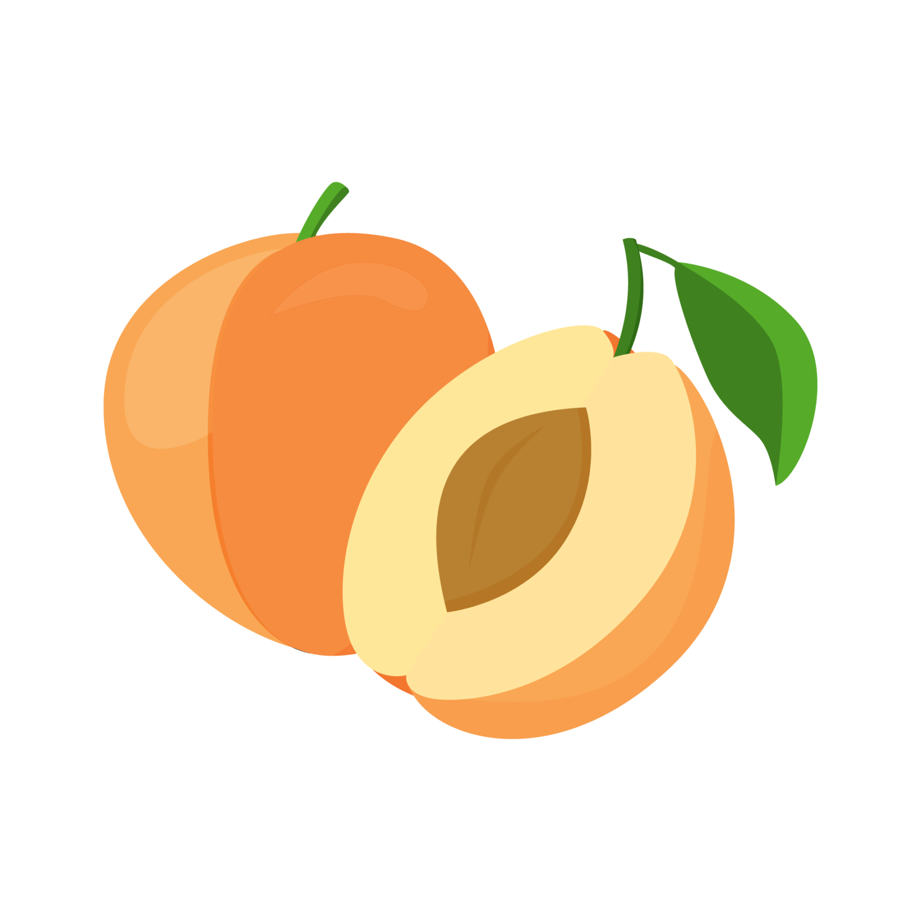 apricot-icon