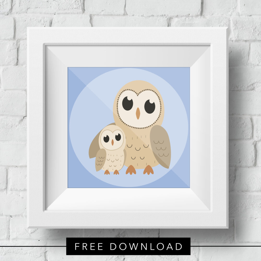 baby-owl-free-download