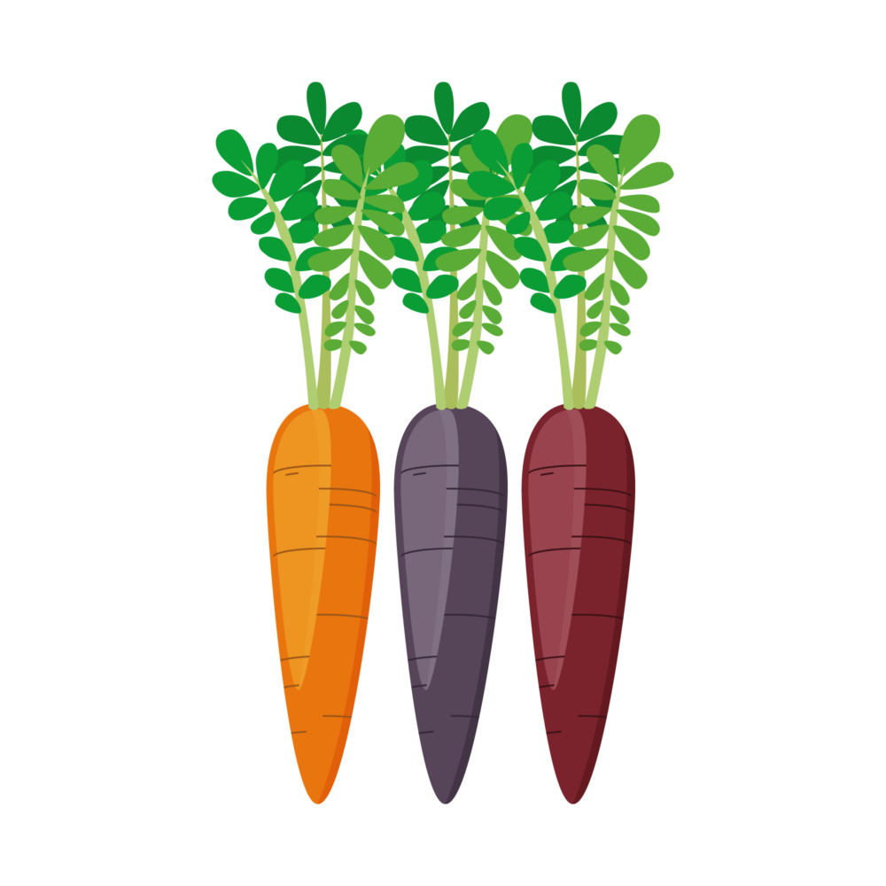 carrot-colors-icon