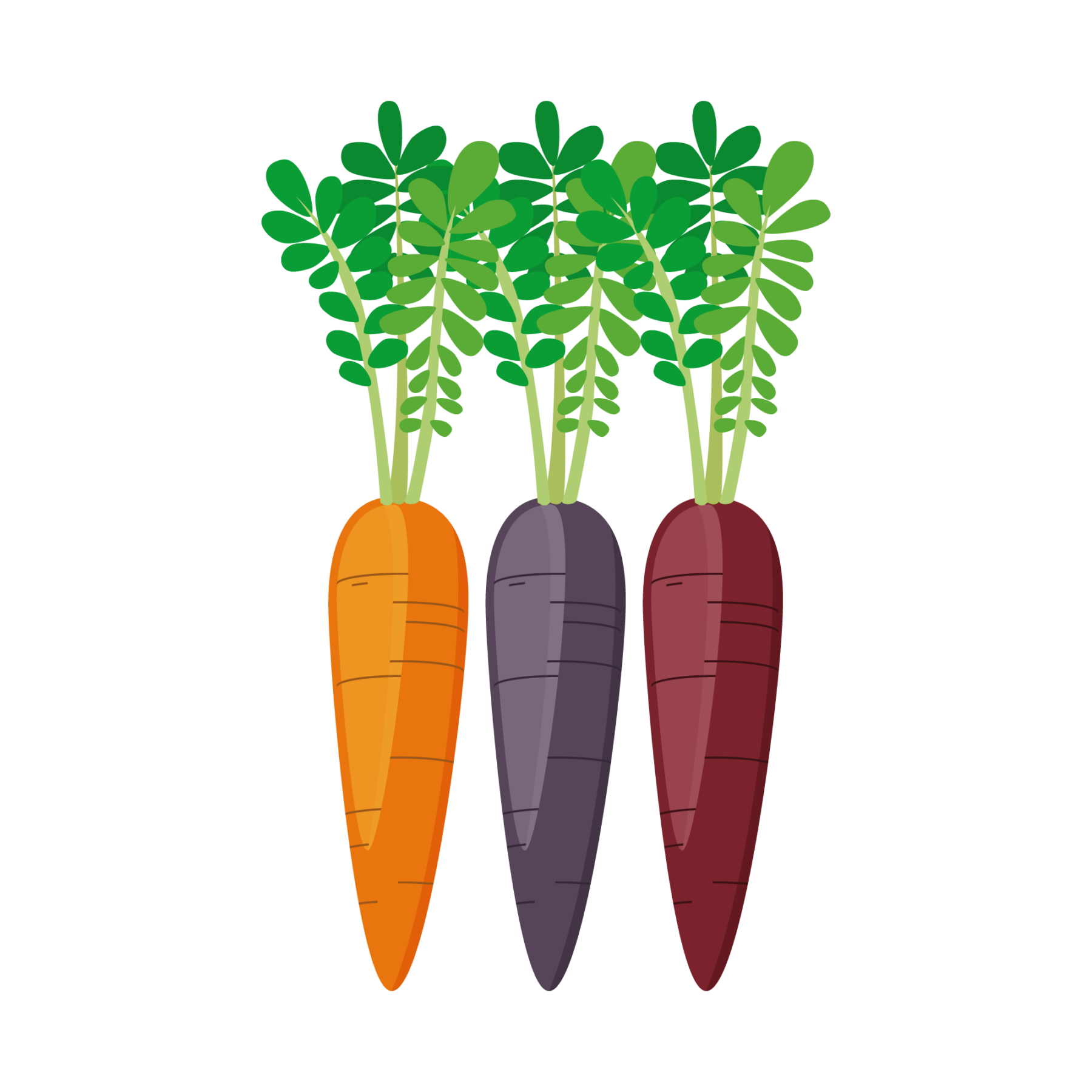 carrot-colors-icon