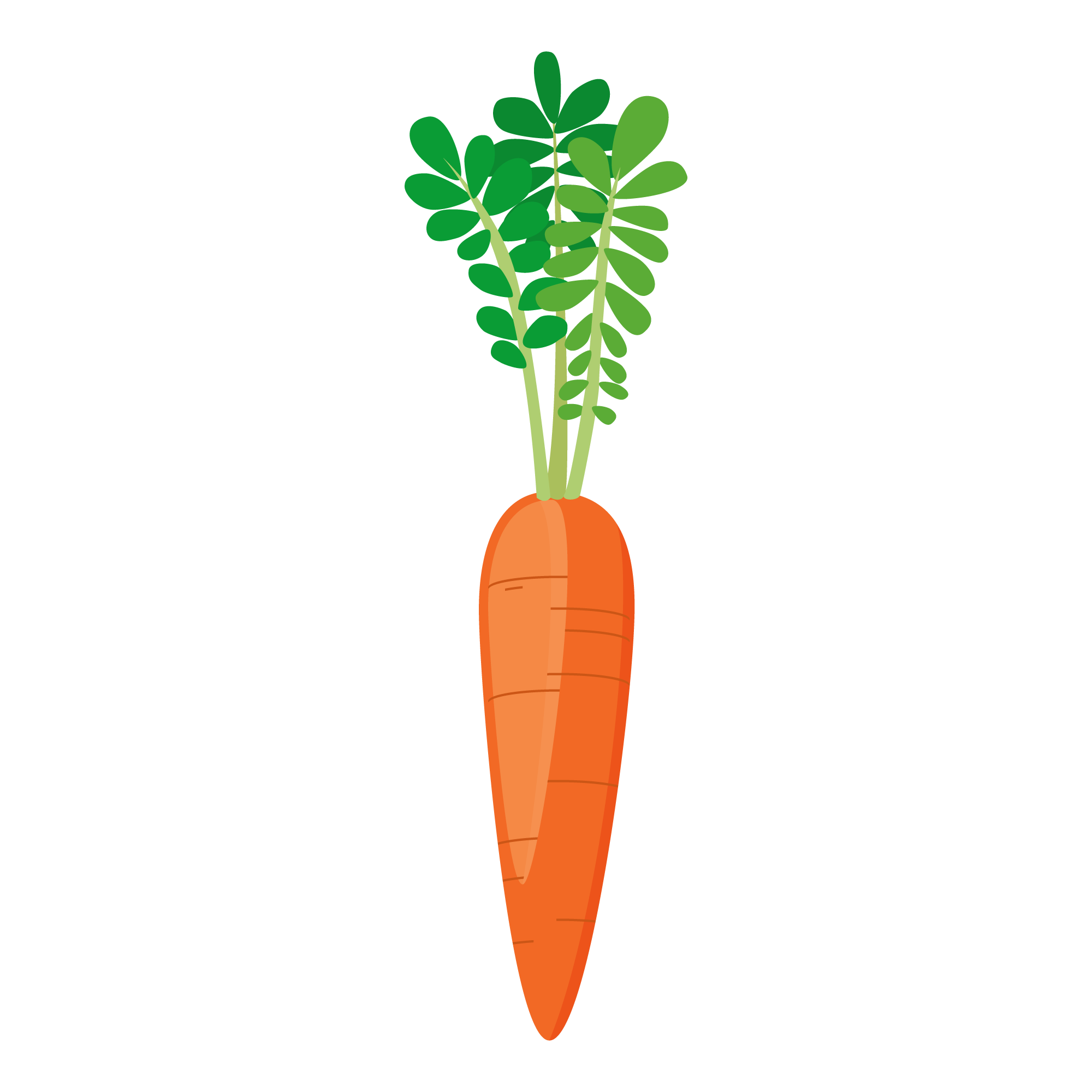 Jason B Graham Carrot Havu