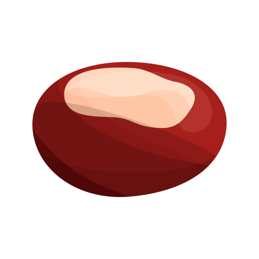 chestnut-icon