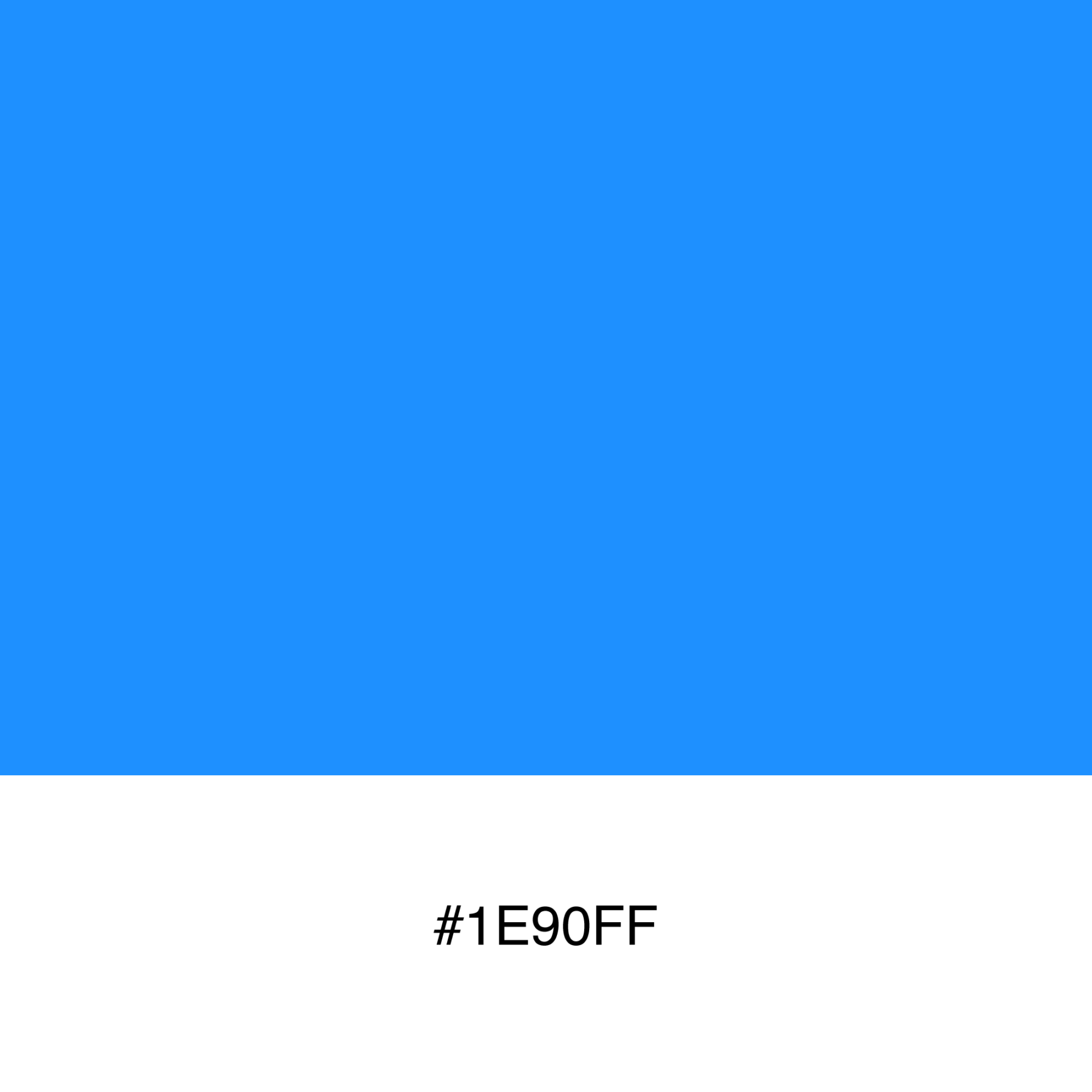 color-swatch-1e90ff