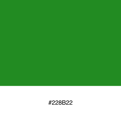 color-swatch-228b22