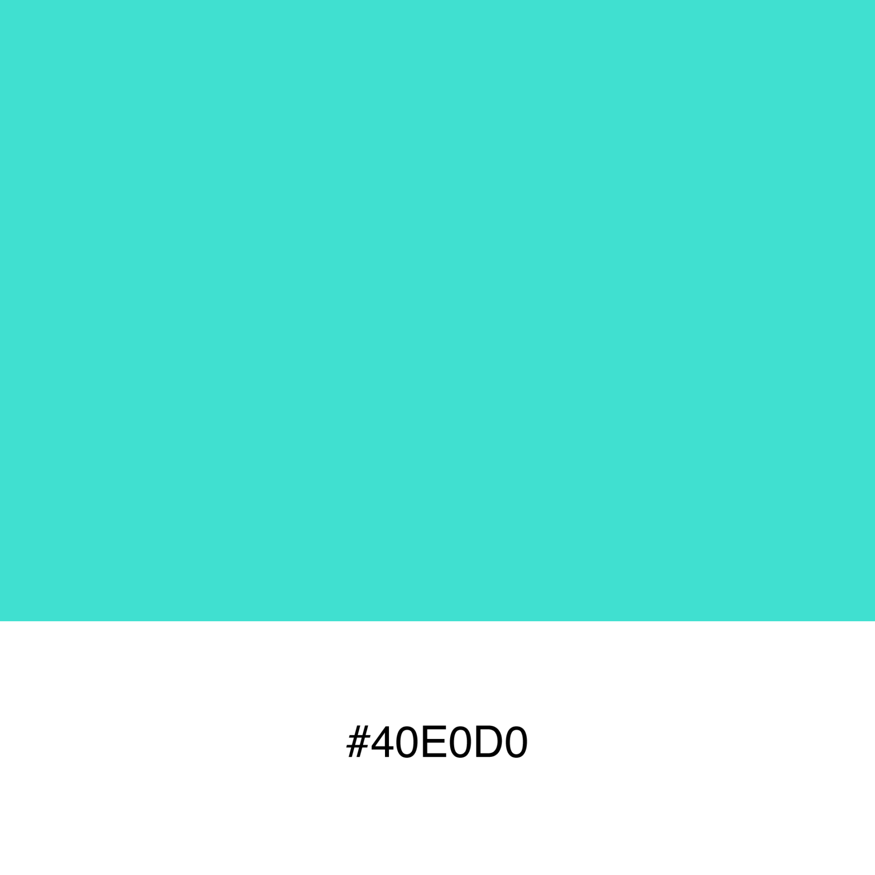 color-swatch-40e0d0