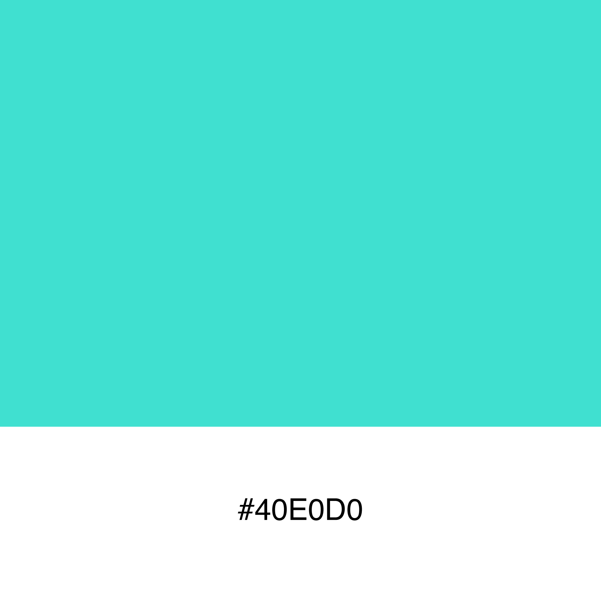 color-swatch-40e0d0