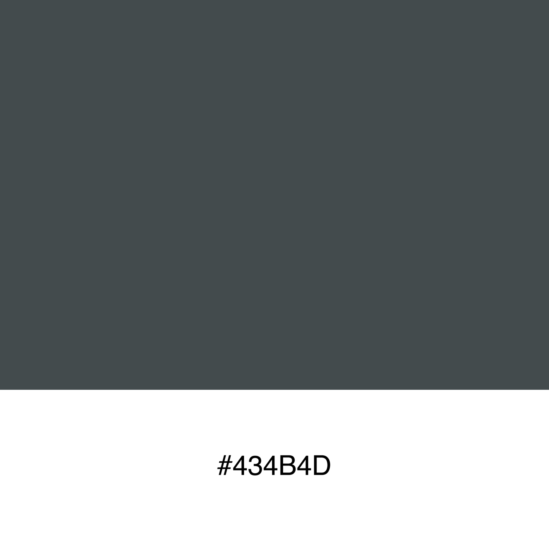 color-swatch-434b4d