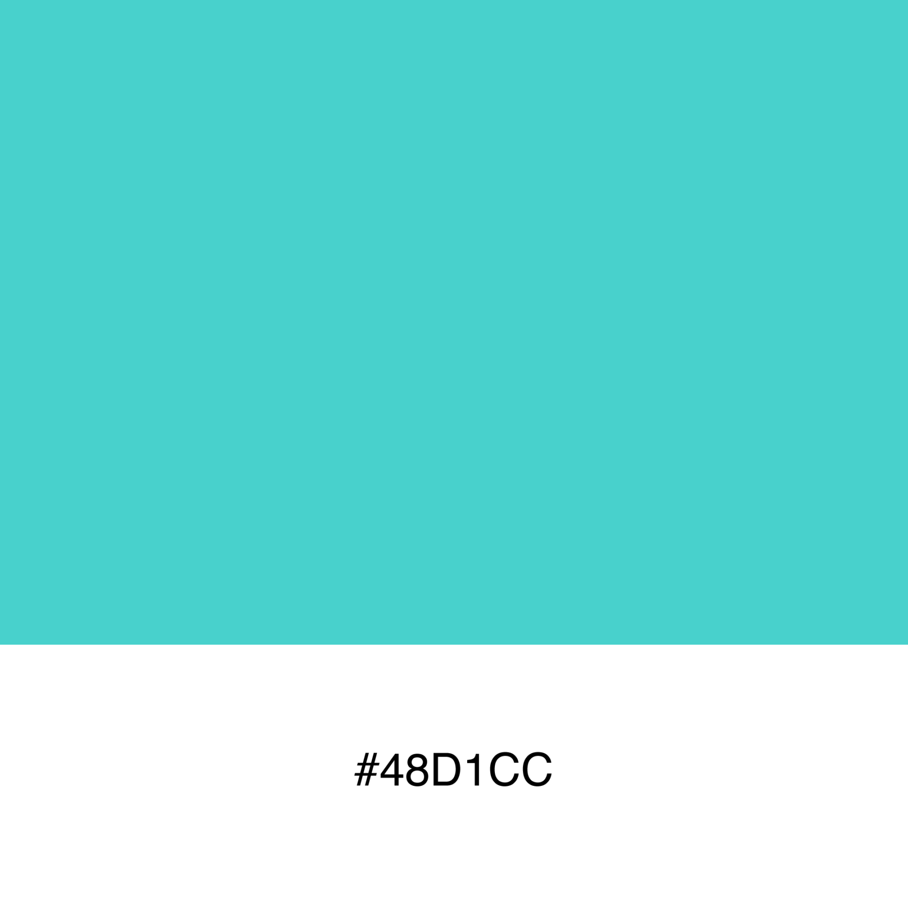 color-swatch-48d1cc