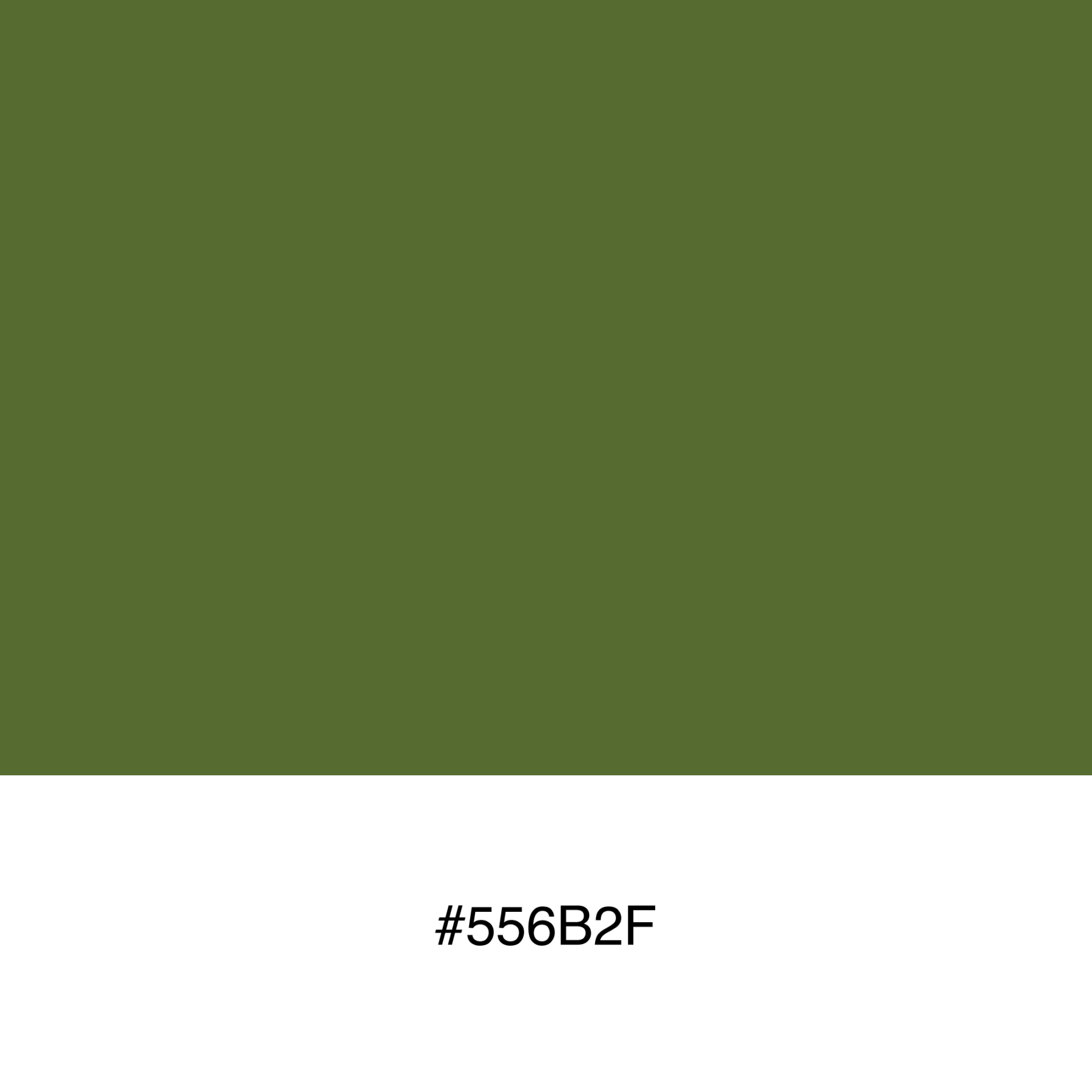 color-swatch-556b2f