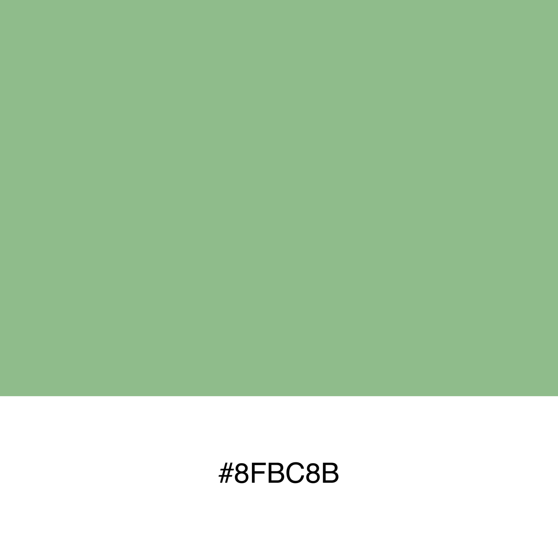 color-swatch-8fbc8b