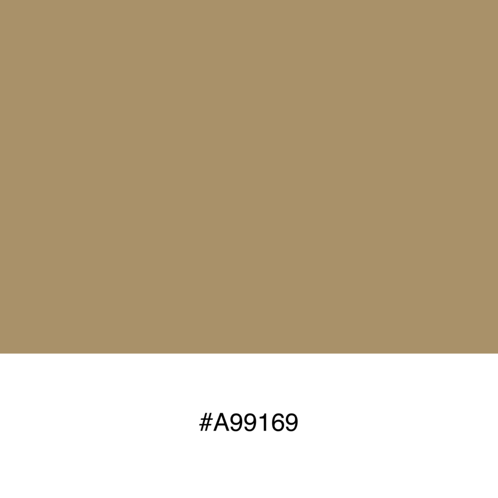 color-swatch-a99169