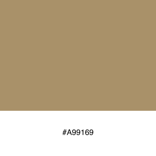 color-swatch-a99169
