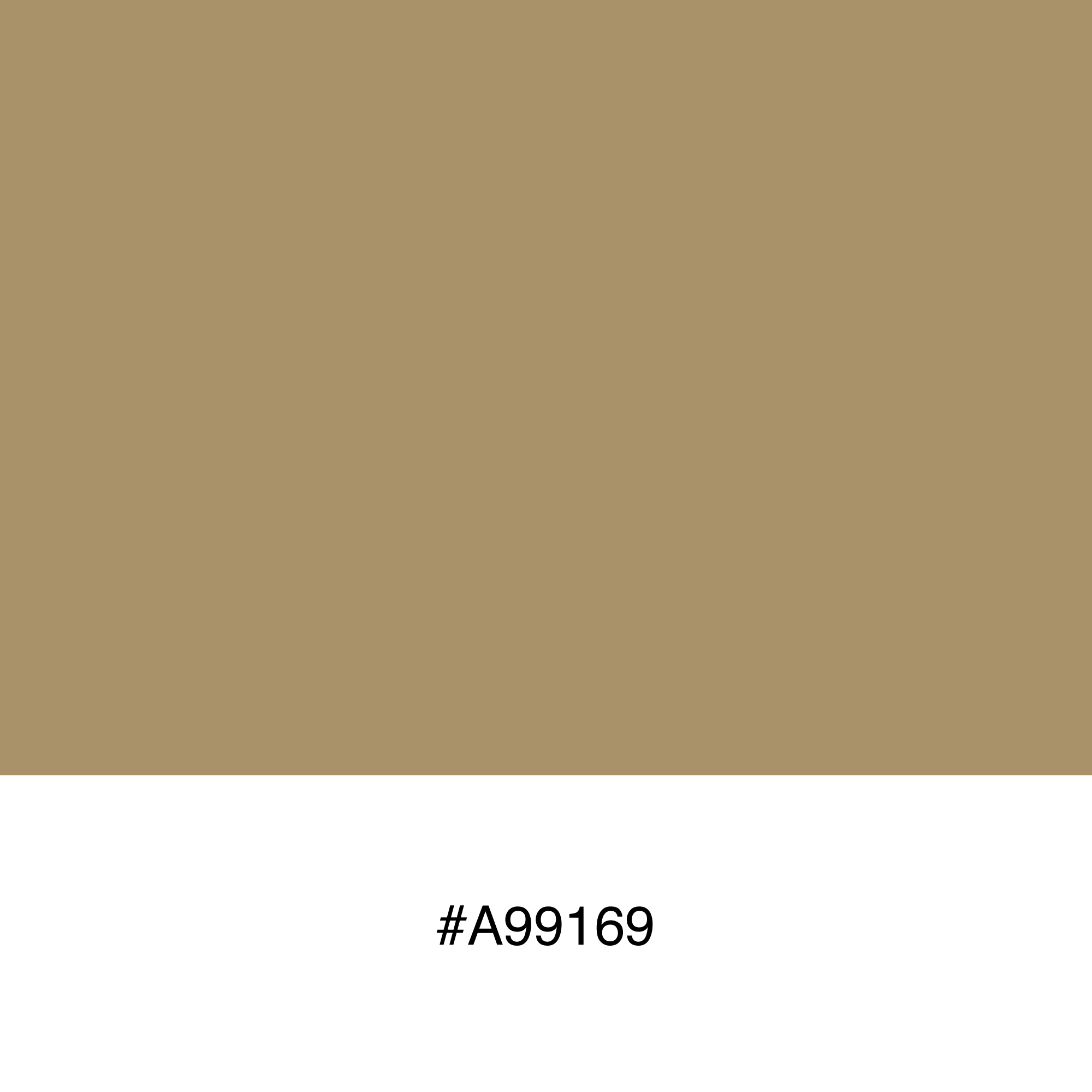color-swatch-a99169