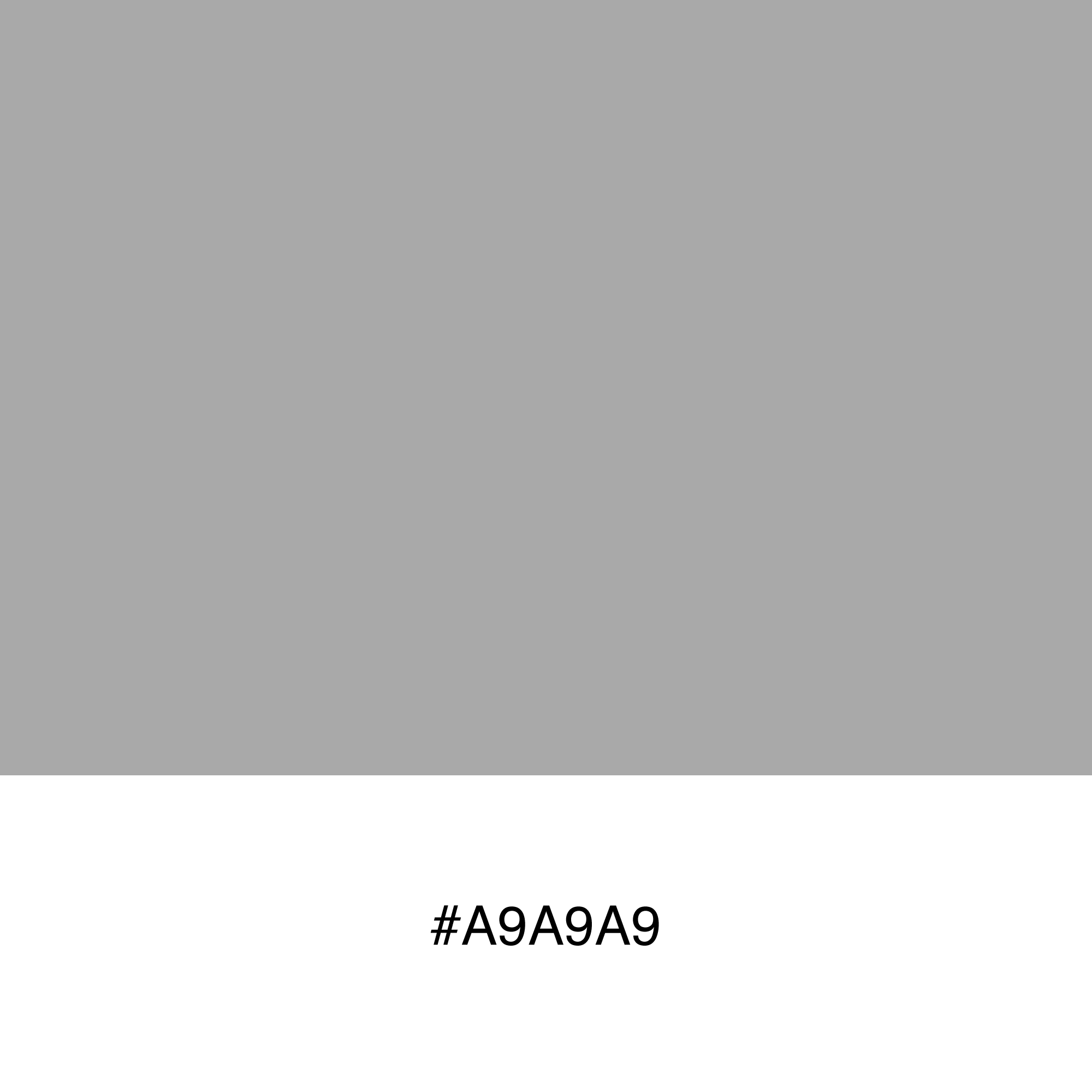 Free Color Swatch #a9a9a9