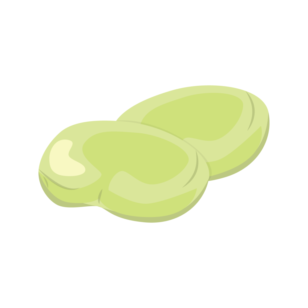 fava-bean-icon