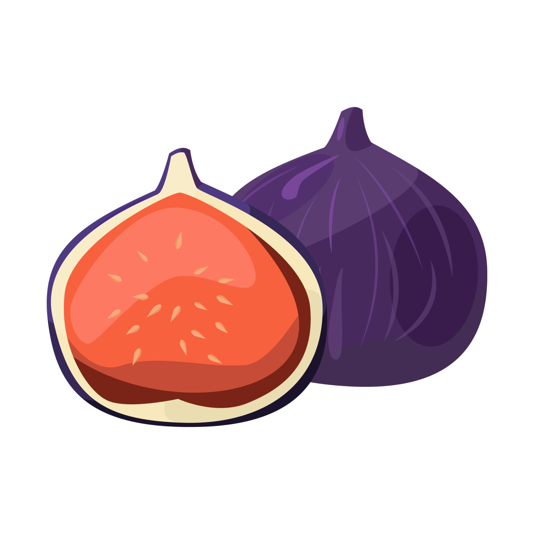 fig-icon