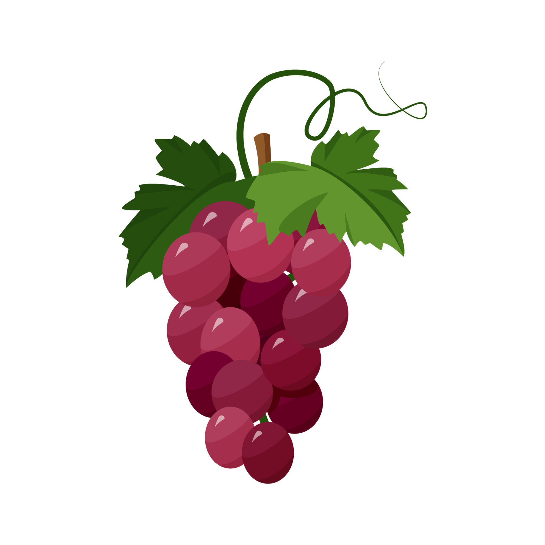 grapes-icon