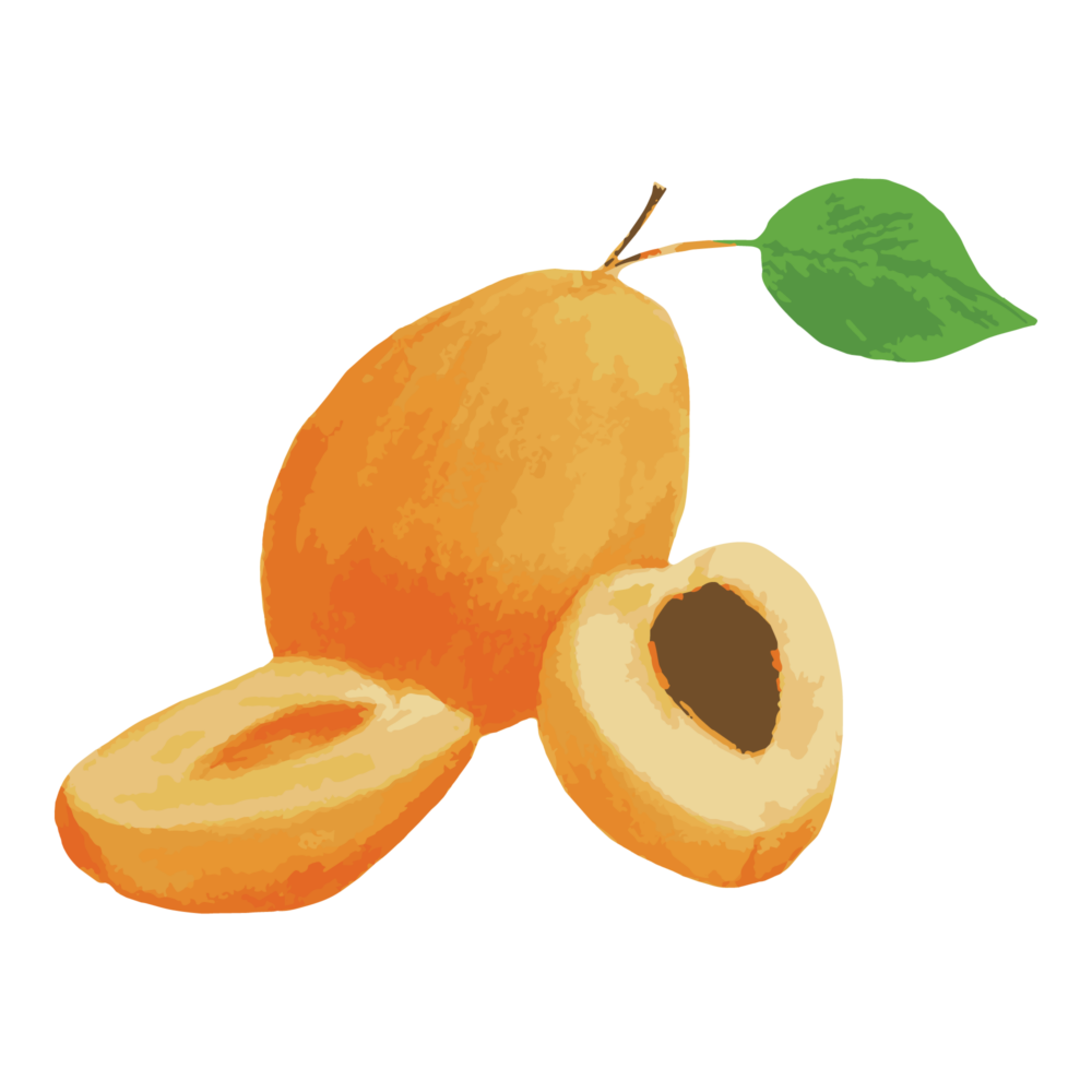 jason-b-graham-apricot-icon-0001