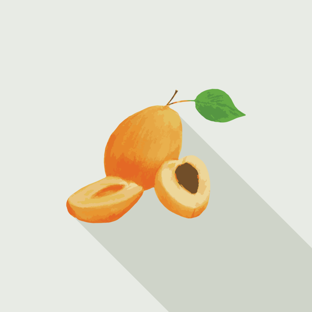 jason-b-graham-apricot-icon-0001-featured-image