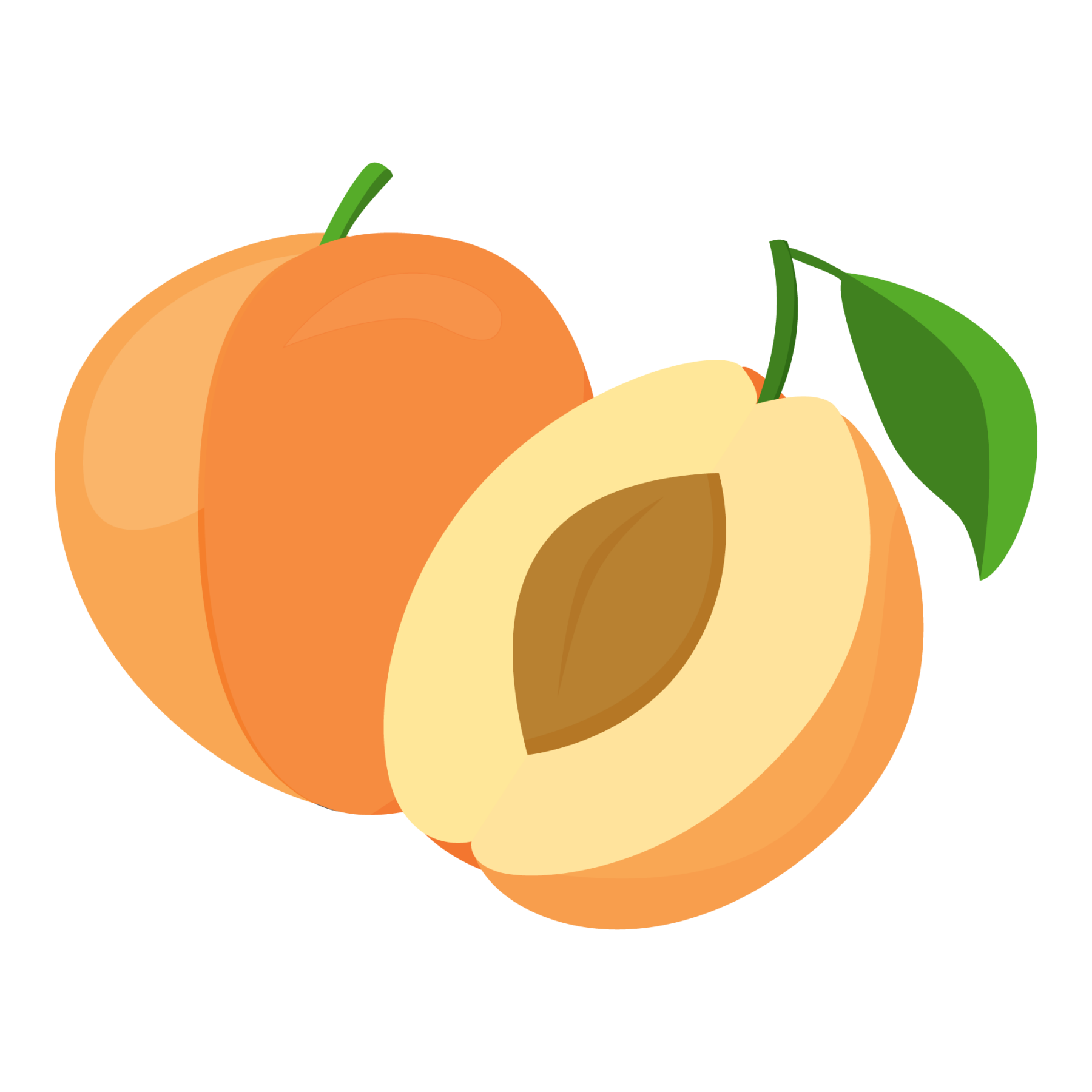 jason-b-graham-apricot-icon-0003