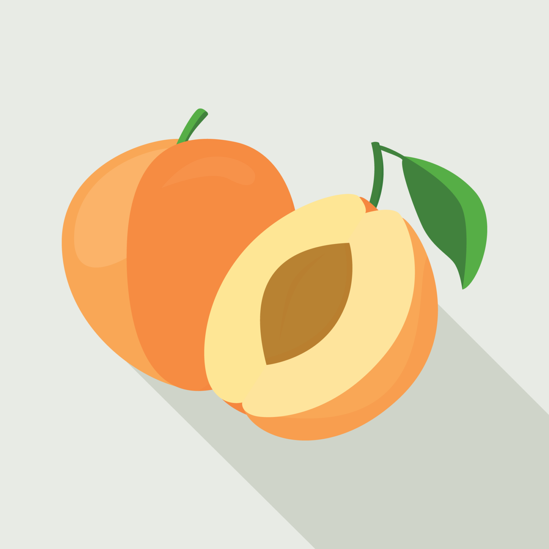 jason-b-graham-apricot-icon-0003-featured-image