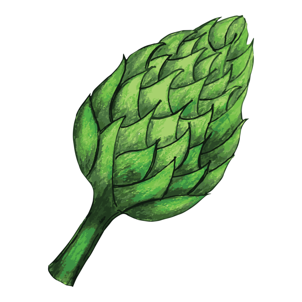 jason-b-graham-artichoke-icon-0001