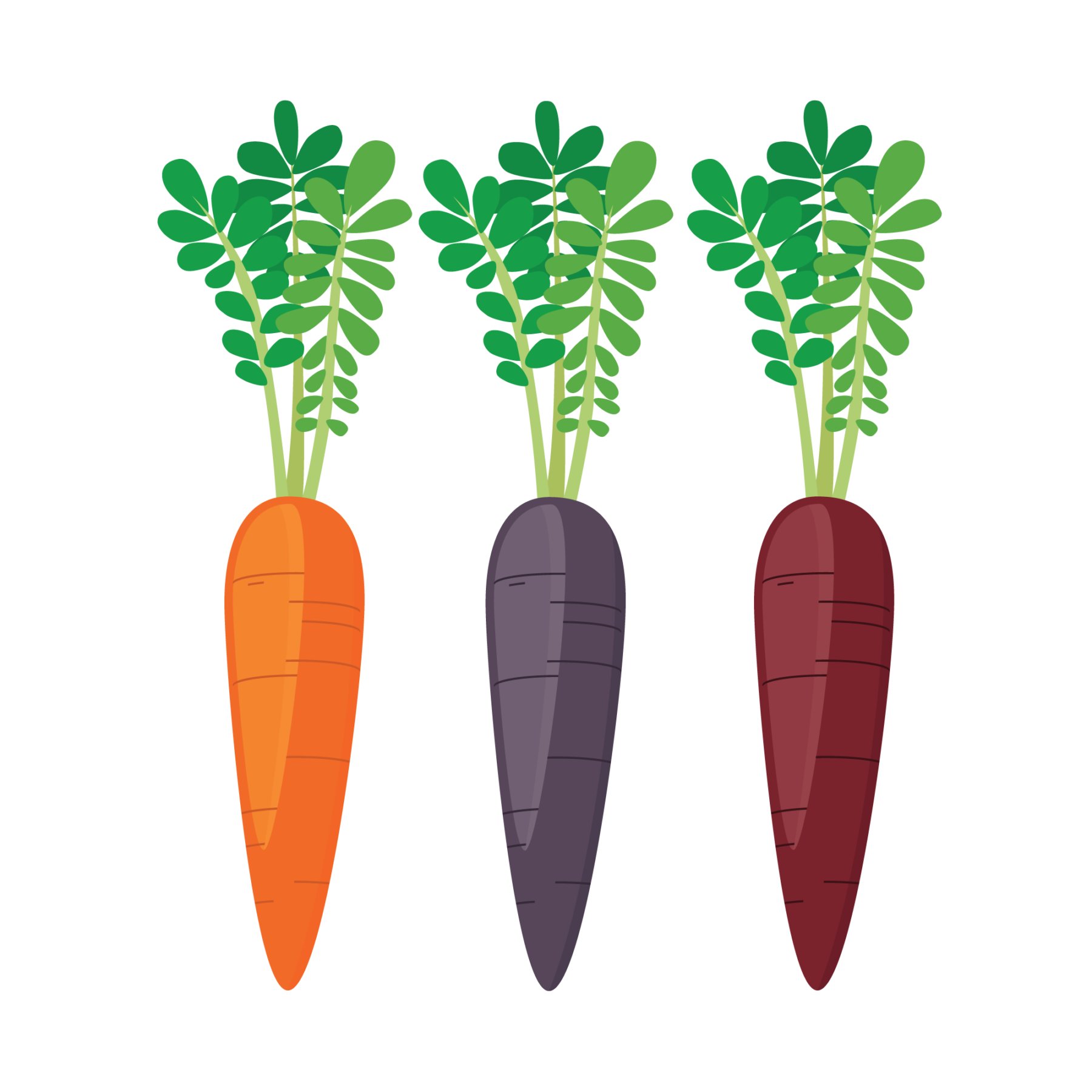 jason-b-graham-carrots-icon-download