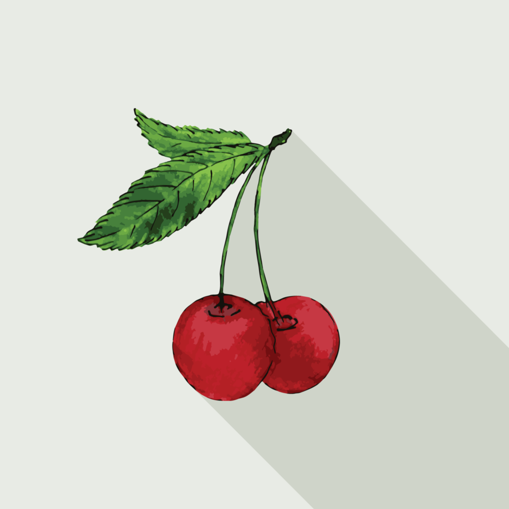 jason-b-graham-cherry-icon-bc2029-featured-image